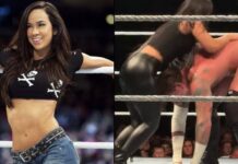 AJ Lee and Roxanne Perez - CM Punk