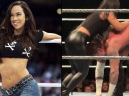 AJ Lee and Roxanne Perez - CM Punk
