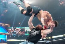 Brock Lesnar F5's John Cena