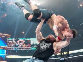 Brock Lesnar F5's John Cena