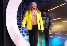 Chris Jericho in AEW