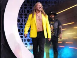 Chris Jericho in AEW