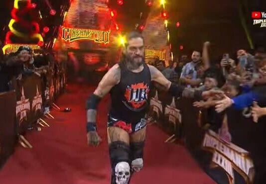 ciberneticotriplemania
