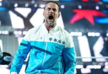 CM Punk in WWE