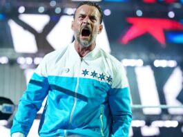 CM Punk in WWE