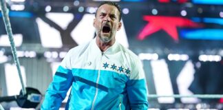 CM Punk in WWE