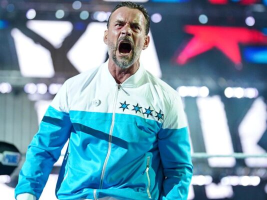 CM Punk in WWE