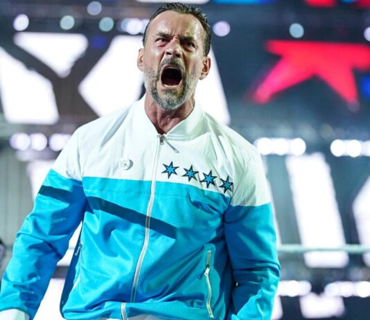 CM Punk in WWE
