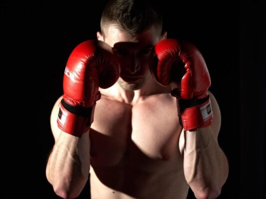 Boxer