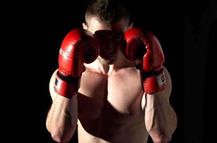 Boxer Boxer