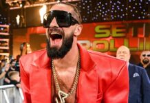 Seth Rollins in WWE