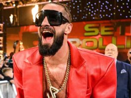 Seth Rollins in WWE