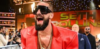 Seth Rollins in WWE