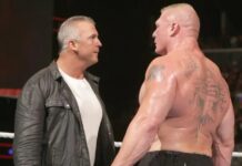 Shane McMahon and Brock Lesnar