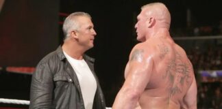 Shane McMahon and Brock Lesnar