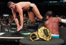 GUNTHER vs. CM Punk at WWE SummerSlam 2025