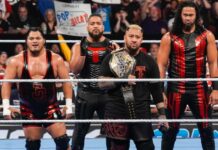 The Bloodline in WWE