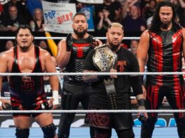 The Bloodline in WWE