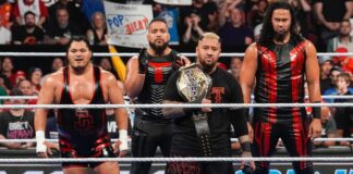 The Bloodline in WWE