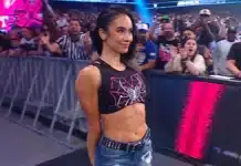 AJ Lee in WWE