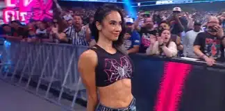 AJ Lee in WWE