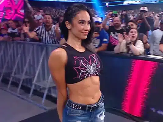 AJ Lee in WWE