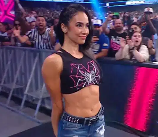 AJ Lee in WWE