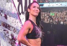 AJ Lee