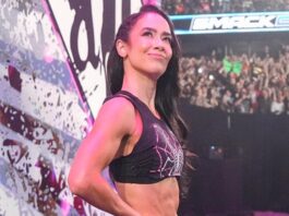 AJ Lee