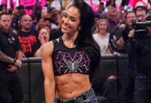 AJ Lee