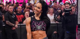 AJ Lee