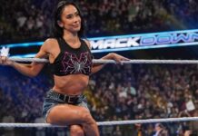 AJ Lee returns to WWE