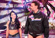 AJ Lee and CM Punk
