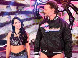 AJ Lee and CM Punk