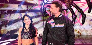 AJ Lee and CM Punk
