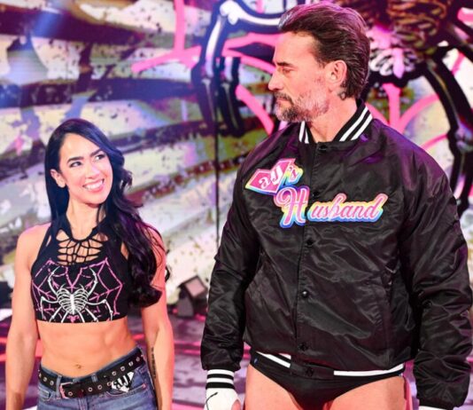 AJ Lee and CM Punk