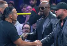 The Hardys and Team 3D