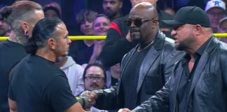 The Hardys and Team 3D