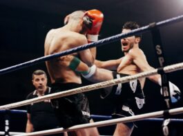 Rising Stars in Combat Sports Who Could Be the Next Champions