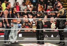 CM Punk, AJ Lee, Seth Rollins, Becky Lynch