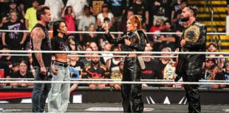 CM Punk, AJ Lee, Seth Rollins, Becky Lynch