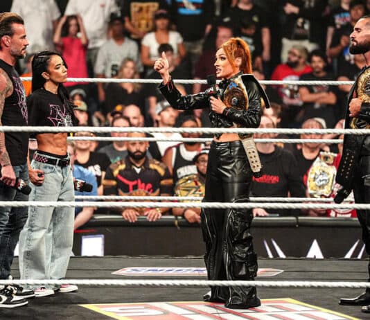 CM Punk, AJ Lee, Seth Rollins, Becky Lynch