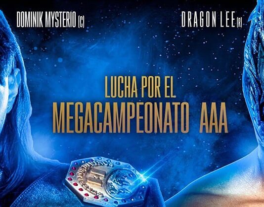 AAA Heroes Inmortales XVII