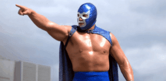 Blue Demon Jr.