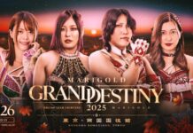Marigold Grand Destiny