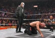 Sting - Jon Moxley AEW WrestleDream 2025