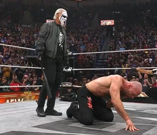 Top 3 Moments Of AEW WrestleDream 2025 Sting - Jon Moxley AEW WrestleDream 2025