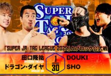 NJPW Super Junior Tag League