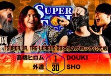 NJPW Super Junior Tag League