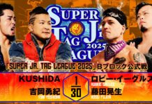 NJPW Super Junior Tag League